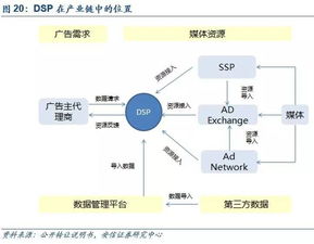 公司深度 新數(shù)網(wǎng)絡(luò)（834990.OC）——DSP技術(shù)領(lǐng)導(dǎo)者，全球服務(wù)搭生態(tài)技術(shù)服務(wù)